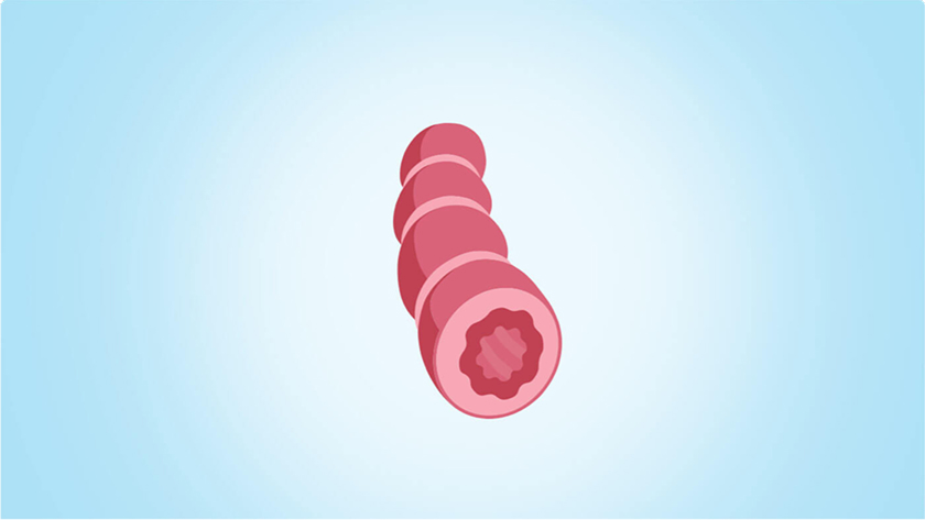 Inflammation and airways logo