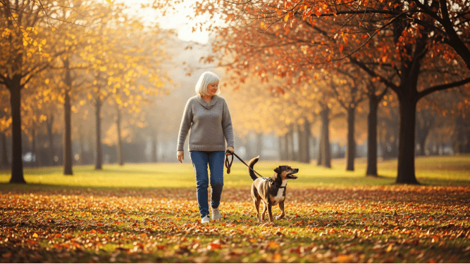 an old lady walking with her dog in the forest
