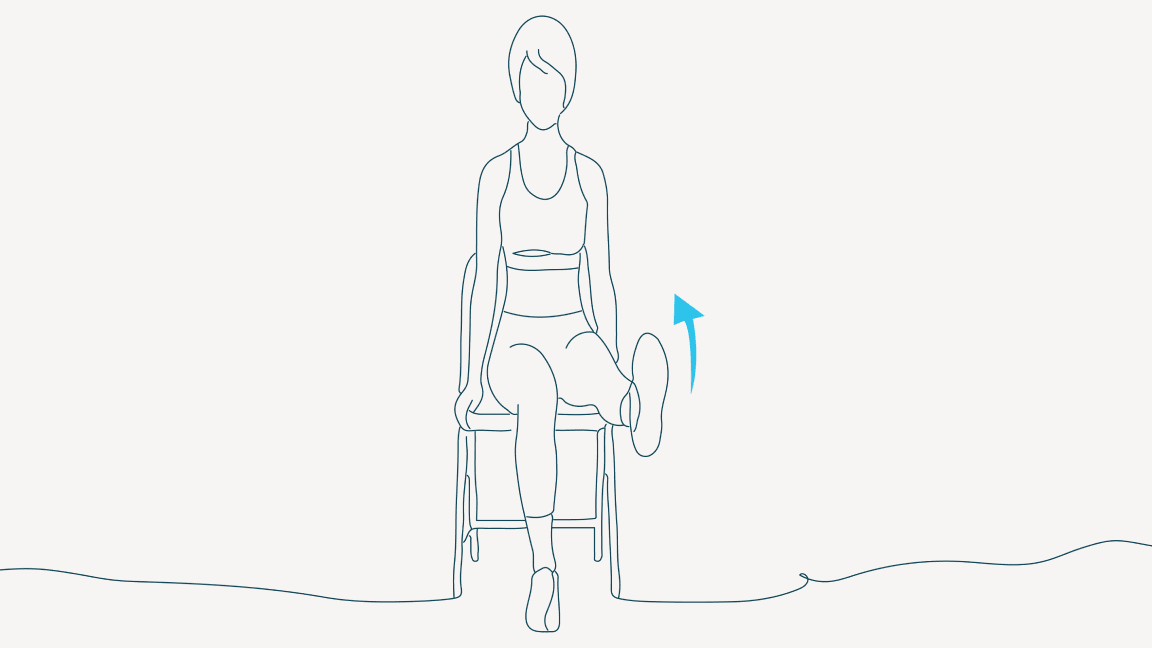 knee extensions